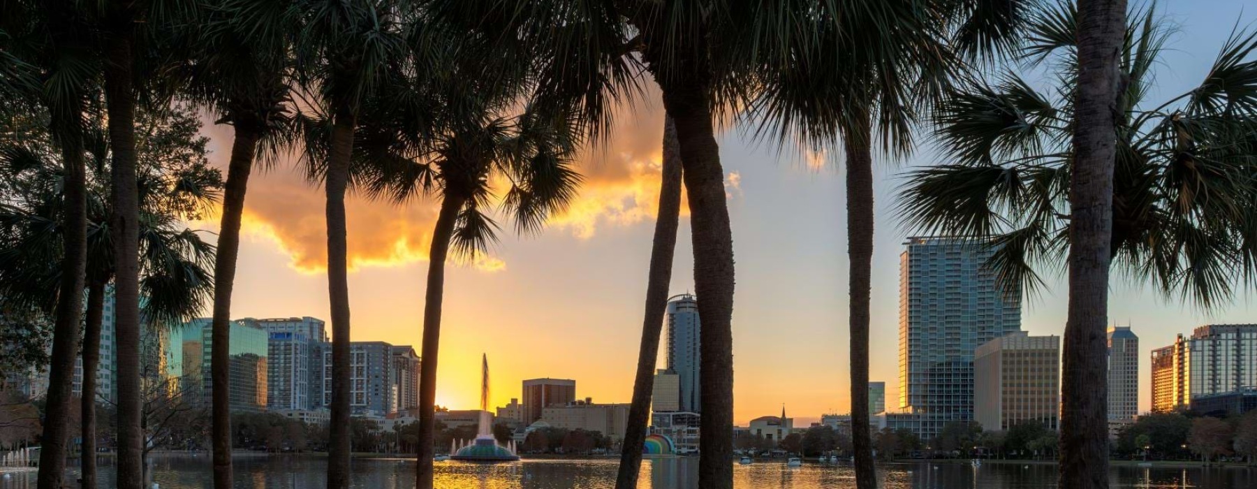 a group of palm trees next to a body of water