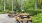 a group of picnic tables in a park