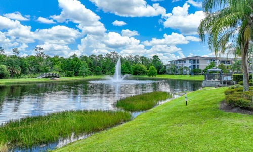 a pond with a fountain in it